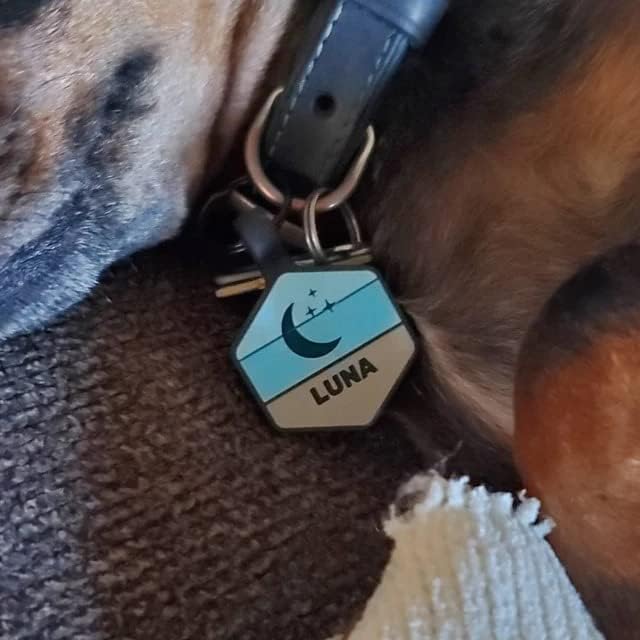 Silicone Silent Dog Tag Personalized with 5 Lines of Custom Deep Engraved Durable Soundless Pet ID Name Tag Hexagon Green