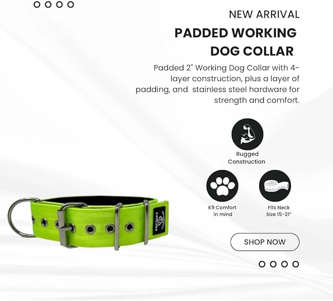 SparkDog Collars Working Dog Collar - 2" 4ply Padded Dog Collar Heavy Duty Stainless Steel Tactical Seatbelt Wide Buckle Collar (Lime 2.0, 16-21" Large)