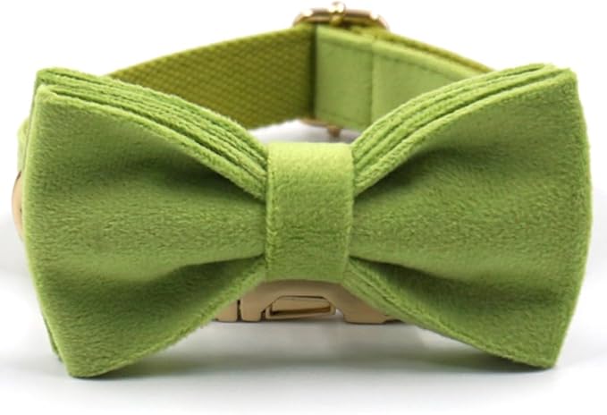 PETDURO Custom Dog Collar Personalized with Name Engraved Quick Release Rose Gold Metal Buckle for Large Medium Small Girl Dogs - Dog Leash and Bow Tie Available - Soft Comfy Velvet (Green, S)