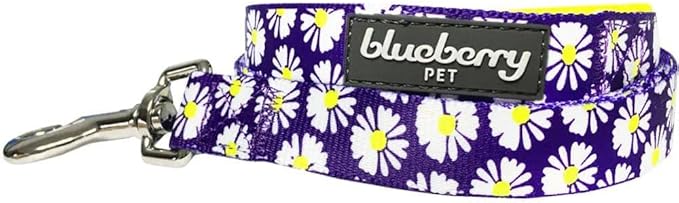 Blueberry Pet 2 Pattern Loving Daisy Prints Dog Leash with Soft & Comfortable Handle, 5 ft x 3/4", Medium, Leashes for Dogs