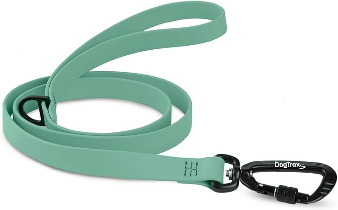 DogTraxs - Essential Dog Leash - Biothane Training Lead - for Small-Large Dogs - Waterproof & Odor Resistant - Self Locking Swivel Carabiner Durable - Made in USA - 3 Feet –Sage Green