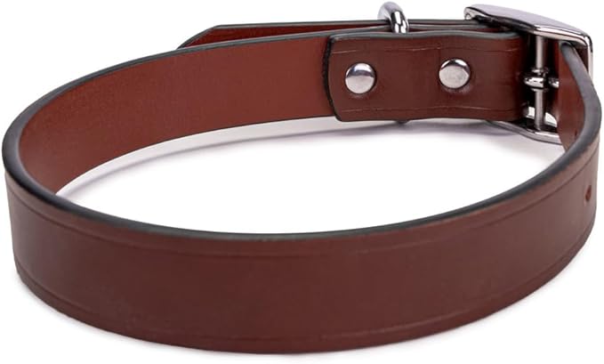 King Buck Leather Dog Collar with D Ring, Leather, Small
