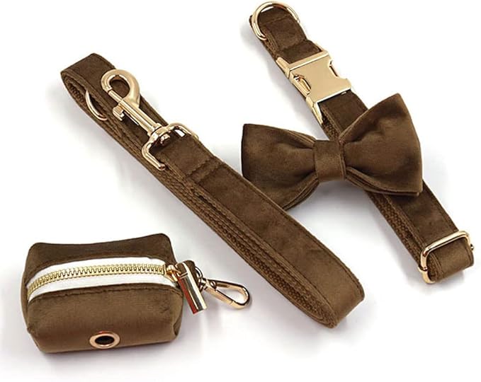 PETDURO Custom Dog Collar Personalized with Name Engraved Quick Release Gold Metal Buckle for Large Medium Small Girl Dogs - Dog Leash and Bow Tie Available - Soft Comfy Velvet (Brown G, M)