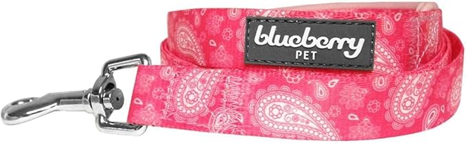 Blueberry Pet 5 Colors Paisley Flower Print Dog Leash with Soft & Comfortable Handle, 5 ft x 5/8", Pink, Small, Leashes for Dogs