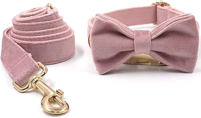 PETDURO Custom Dog Collar Personalized with Name Engraved Gold Metal Buckle for Large Medium Small Girl Dogs - Dog Leash and Bow Tie Available - Soft Comfy Velvet (Champagne Pink, L)