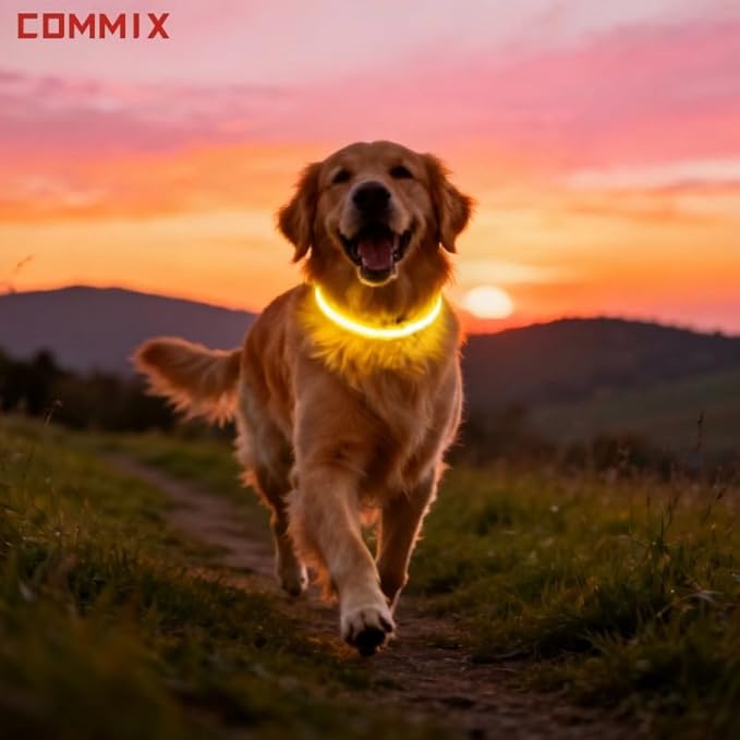 COMMIX CN,2-Pack Flash LED Pet Safety Collar Light Band - Yellow,Single Adjustable Light Up Collar for Dogs,Two Connectable for Large Pets,Easy Snap Buckle Design,SAVELIVESNOW