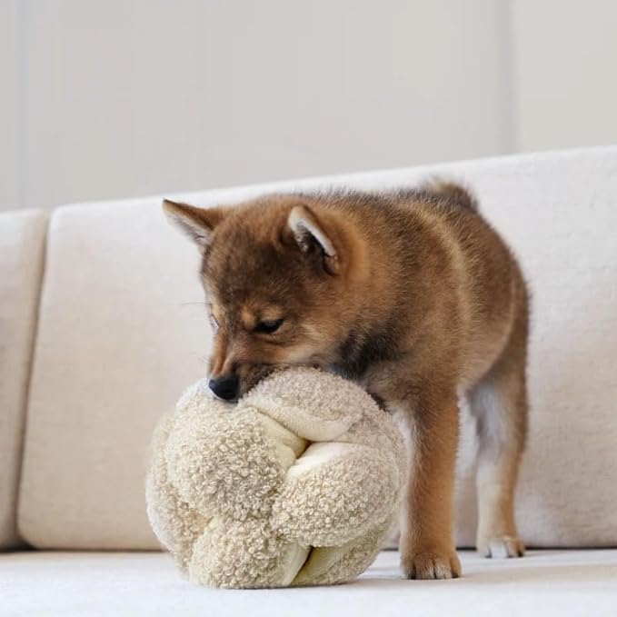 Lambwolf Monti- Enrichment and Interactive Dog Toy | Puzzle Dog Toy