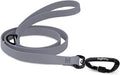 DogTraxs - Essential Dog Leash - Biothane Training Lead - for Small-Large Dogs - Waterproof & Odor Resistant - Self Locking Swivel Carabiner Durable - Made in USA - 5 Feet -Steel Gray