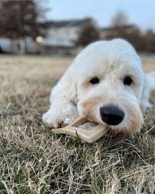 Bacon Buckle - Delicious & Fun Bacon Dog Chew Toy - Tough Long Lasting Dog Bones Made in USA- Small/Medium Sized Dogs Up to 30 LBS, 3” X 5”