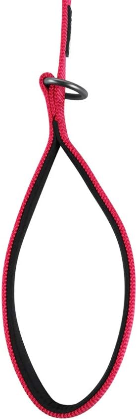 Hyhug Nylon Adjustable 4-6ft Dog Leash with Soft Neoprene Padded Handle, Durable Heavy Duty Leash with Easy-to-Use Bolt Snap, Ideal for Jogging Outdoor