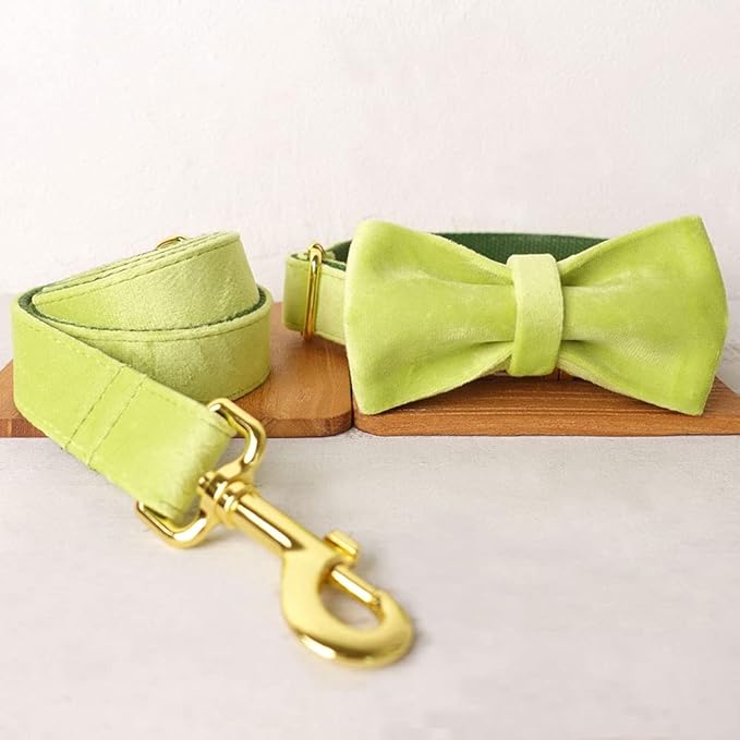 PETDURO Custom Dog Collar Personalized with Name Engraved Quick Release Rose Gold Metal Buckle for Large Medium Small Girl Dogs - Dog Leash and Bow Tie Available - Soft Comfy Velvet (Mint Green, M)