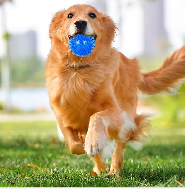 Soft Transparent Spiky Dog Chew Ball, 6.5 CM, Blue Bite Resistant Training Toy for Puppies and Cats Tool