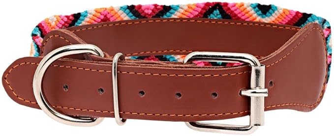 Eternia Premium Leather Dog Collar - Adjustable Handcrafted Collar for Small to Large Dogs (Pink/Orange, L)