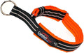 ComfortFlex Premium Padded Martingale Dog Collar – Reflective Waterproof Slip-On Limited Slip Collar for Gentle Control & Escape Prevention - XLarge, Hunter Orange