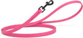 Dogline Biothane Waterproof Dog Leash 2/4/6 Ft Strong Coated Nylon Webbing with Black Hardware Odor-Proof Easy to Clean High Performance for Small or Large Dogs Made in USA, Passionfruit Pink