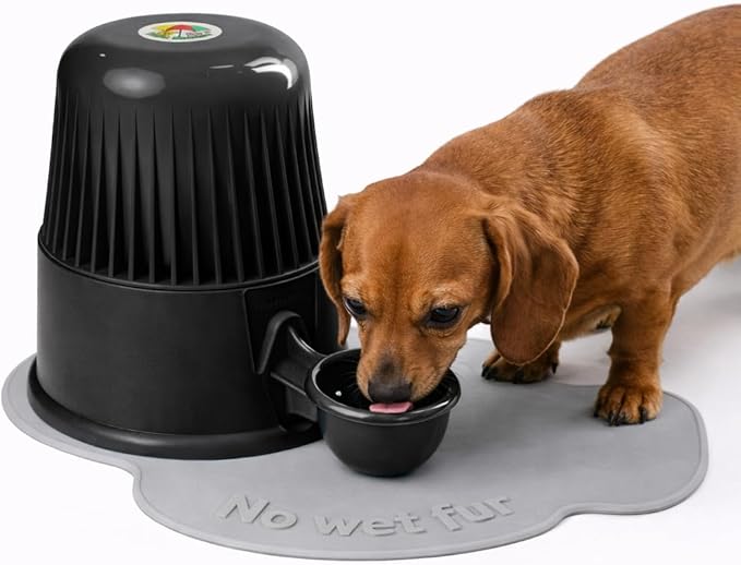 No Spill Pet Water Dispenser for Dogs and Cats, 67.6oz Gravity-Fed Water Bowl with Slow Drinking Design to Prevent Wet Fur, BPA-Free Polypropylene, Vida Mansa (Opaque Black)