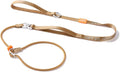 HowGo Slip Lead Dog Leash with Double Handles | Reflective Dog Training Leash with 360° Swivel Anti-Tangle | Heavy-Duty Lead and Collar for Large Medium and Small, No-Pull Walking (Brown, 5.5FT)