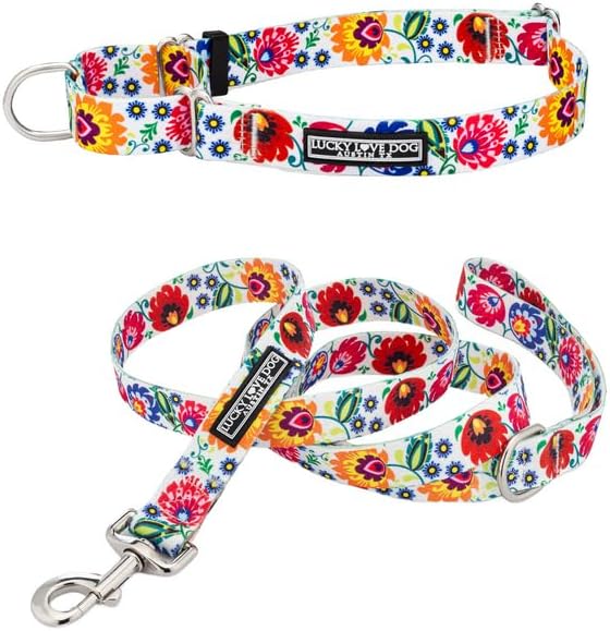 Lucky Love Dog Martingale Dog Collar & Leash - Adjustable, No-Slip, Durable, Comfortable, Soft Webbing, & Stylish Patterned Collar & Leash Set for Male and Female Dogs - Ladybird Combo, Medium
