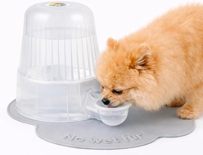No Spill Pet Water Dispenser for Dogs and Cats, 67.6oz Gravity-Fed Water Bowl with Slow Drinking Design to Prevent Wet Fur, BPA-Free Polypropylene, Vida Mansa (Clear)