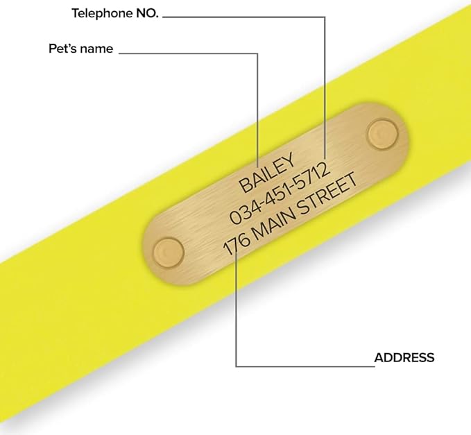 Regal Dog Products Large Yellow Waterproof Dog Collars with Custom Engraved Name Plate | Vinyl Coated, Anti, Easy to Clean Personalized Biothane Dog Collar - Other Sizes for Small & Medium Dogs