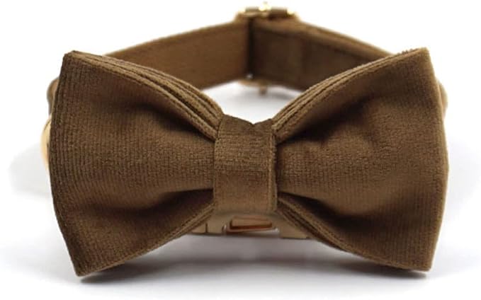 PETDURO Custom Dog Collar Personalized with Name Engraved Quick Release Rose Gold Metal Buckle for Large Medium Small Girl Dogs - Dog Leash and Bow Tie Available - Soft Comfy Velvet (Brown G, XS)