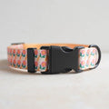 Dog Collars for Small Dogs - Safety Buckle Durable Plastic Light-Weight, Soft Adjustable Boy Dogs Collar for Small Dog Collar with Fruit Patterns (Orange Flower, S)