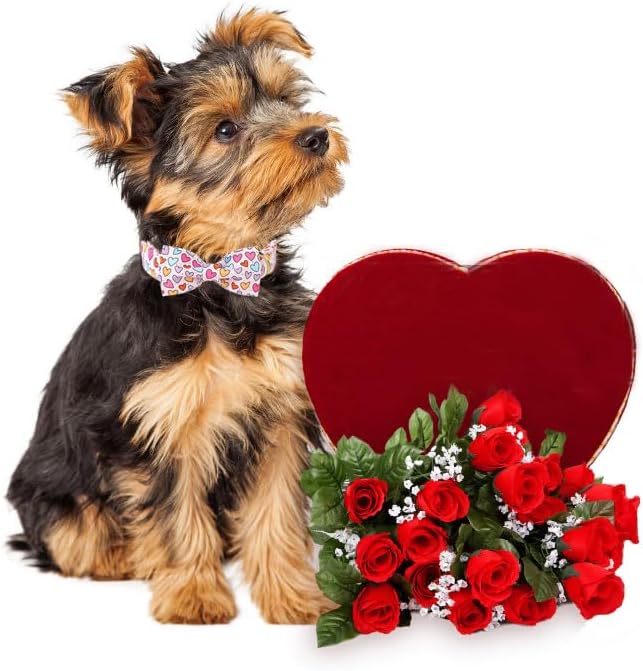 Lionet Paws Valentine's White Dog Collar, Cute Heart Dog Collar for Large Dogs, Adjustable Cotton Pet Collars for Medium Large Dogs