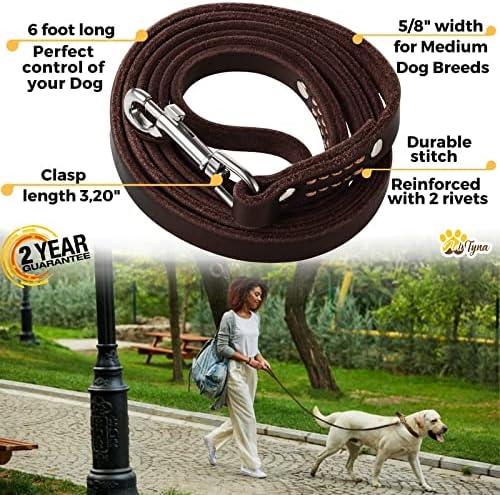 ADITYNA - Premium Leather Dog Leash - 6 ft, Heavy-Duty, Soft & Strong for Small/Medium Dogs - Perfect for Walking, Training, Hiking, and Running (Medium: 6 ft x 5/8", Brown)