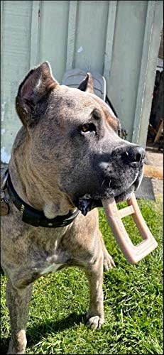 Peanut Butter Buckle - Delicious & Fun Dog Peanut Butter Toy - Tough Long Lasting Dog Bones Made in USA- Designed for Larger Canines, 3.75In X 6.75In