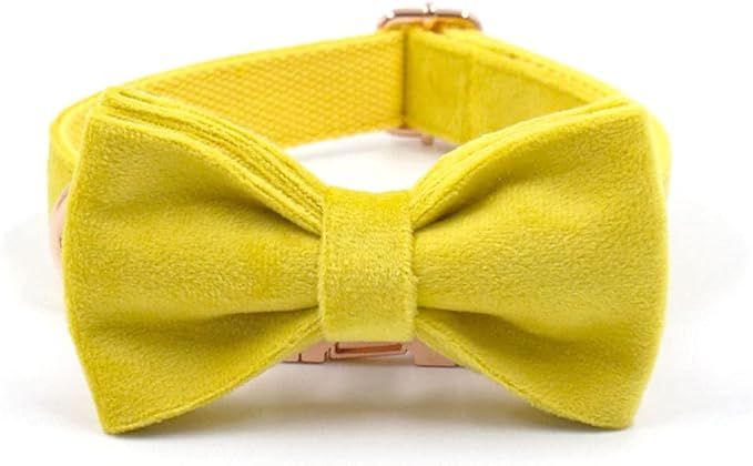PETDURO Custom Dog Collar Personalized with Name Engraved Quick Release Rose Gold Metal Buckle for Large Medium Small Girl Dogs - Dog Leash and Bow Tie Available - Soft Comfy Velvet (Yellow, XL)