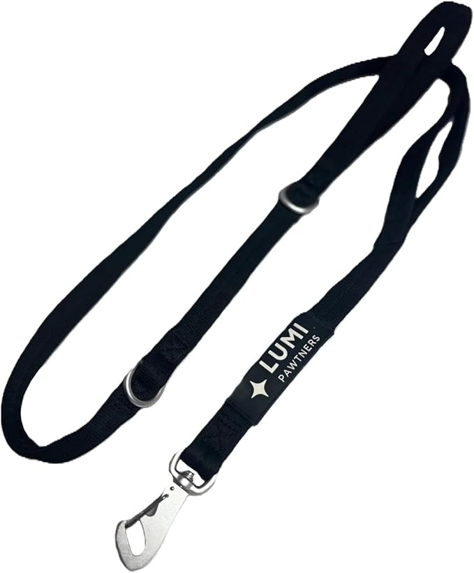 LUMI Dual-Handled Cotton Webbed Dog Leash, Highly Reflective Threads for X-Small, Small, Medium, Large and X-Large Dogs