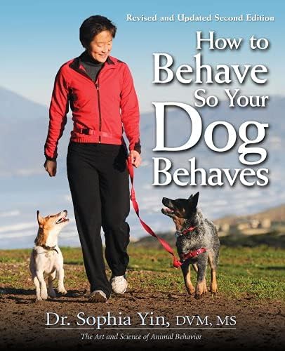 The Buddy System Hands Free Dog Leash, Adjustable Leash for Running, Jogging, Training and Service Dogs, Great for Small, Medium and Large Dogs, Made in USA (Red, Regular Belt (22"- 40" Waist))