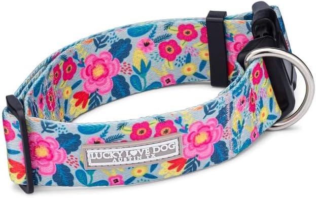 Lucky Love Dog Wide Dog Collar - Adjustable, Durable, Soft Webbing, & Comfortable 1.5 inch Wide Collar for Dogs Male and Female with Strong Buckle - Valentina, Large