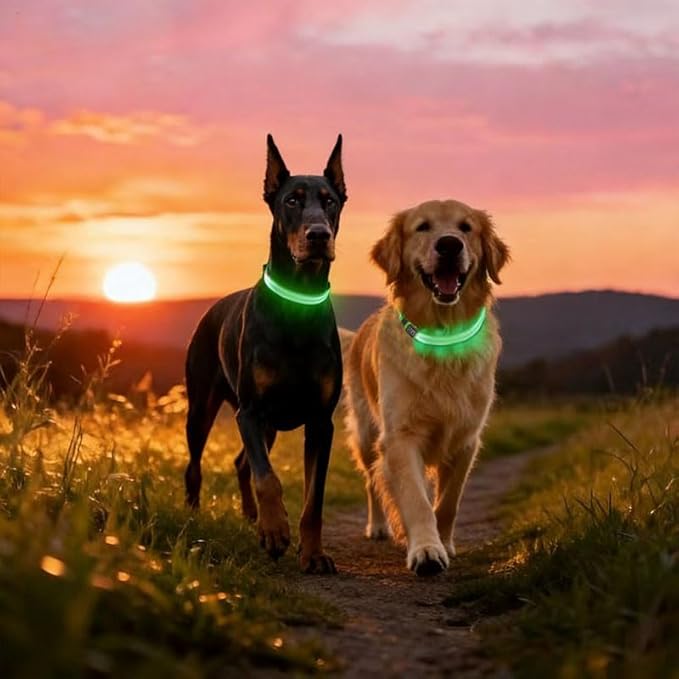 2-Pack Flash LED Pet Safety Collar Light Band - Green