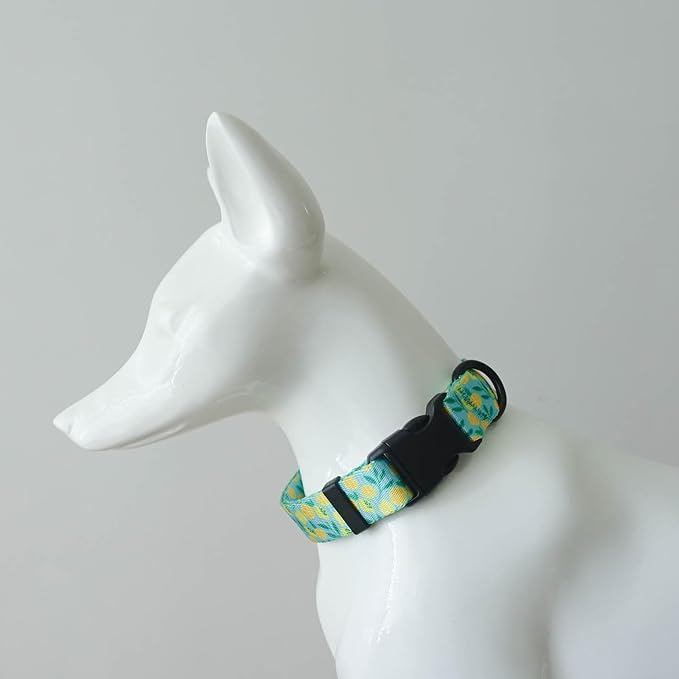 Dog Collars for Small Dogs - Safety Buckle Durable Plastic Light-Weight,Boy Dogs Collar for Small Dog Collar with Cute Patterns Soft Adjustable (Light Green, XS)