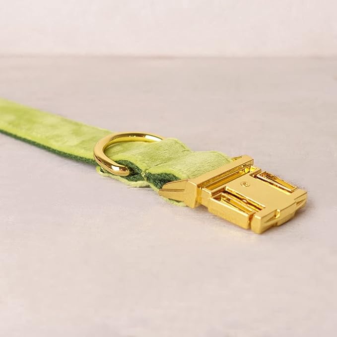 PETDURO Custom Dog Collar Personalized with Name Engraved Quick Release Rose Gold Metal Buckle for Large Medium Small Girl Dogs - Dog Leash and Bow Tie Available - Soft Comfy Velvet (Mint Green, XL)