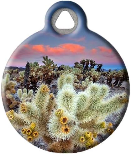 Dog Tag Art Nature and Outdoors Custom Pet ID Tag for Dogs and Cats, Personalized Dog Tag with Customized Identification, Cholla Cactus Garden, Large (1.25" Diameter)