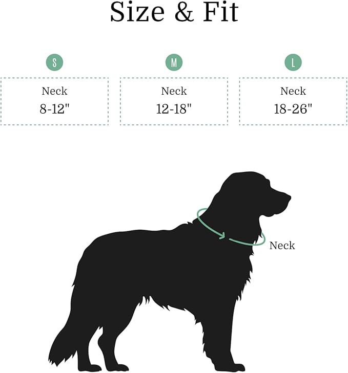 2026 New Edition, Fei & Eve Classic Dog Collar - Quick Release Metal Buckles | Fur-Safe | Premium 210D Nylon | 450LB Escape-Proof | Adjustable Fit | Medium (Glacier Green)