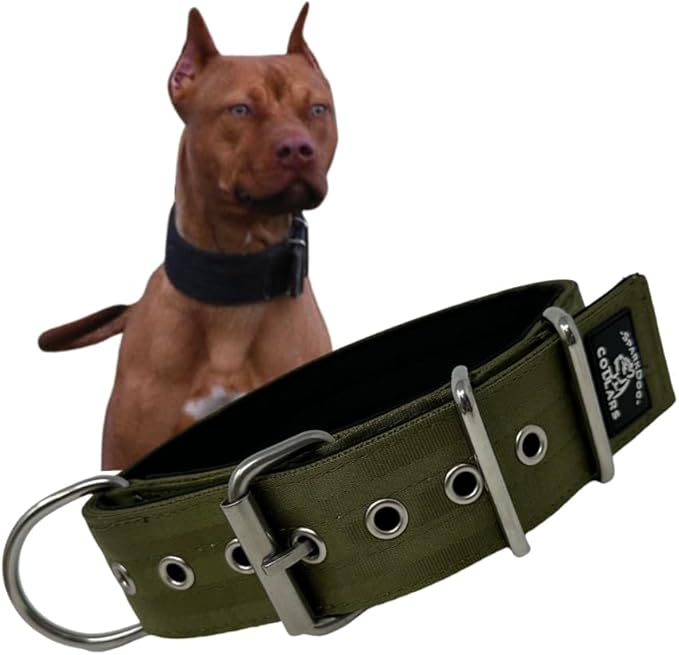SparkDog Collars Working Dog Collar - 2" 4ply Padded Dog Collar Heavy Duty Stainless Steel Tactical Seatbelt Wide Buckle Collar (OD Green 2.0, 16-21" Large)