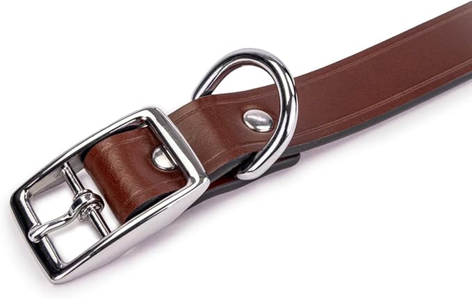 King Buck Leather Dog Collar with D Ring, Leather, Meduim