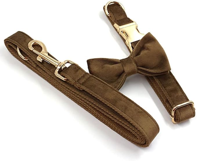 PETDURO Custom Dog Collar Personalized with Name Engraved Quick Release Gold Metal Buckle for Large Medium Small Girl Dogs - Dog Leash and Bow Tie Available - Soft Comfy Velvet (Brown G, L)