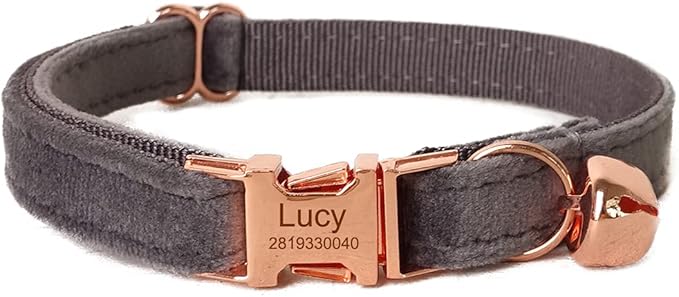 Cat Collar Personalized with Name Engraved and Bell, Customized Velvet Collars for Puppy Kittens (Grey, L)