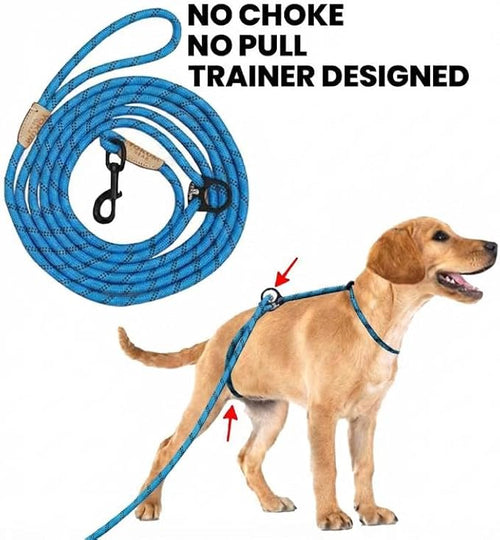 12ft No Pull No Choke Leash Long Rope Dog Leash, Anti Pulling, Dog Leads for Walking, Double Hook & Escape Proof for All Breeds, Reflective Teal