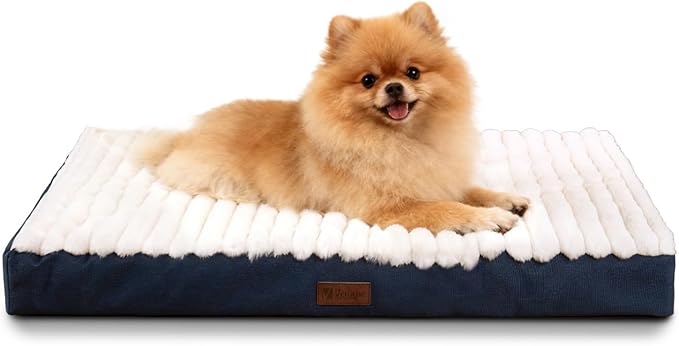 Orthopedic Dog Bed with Firm High-Density Egg Crate Foam Mattress,Machine Washable Cover & Non-Slip Bottom for Small Breeds & Toy Dogs (Blue, 23" L x 17" W x 3" H)