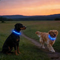 2-Pack Flash LED Pet Safety Collar Light Band - Blue