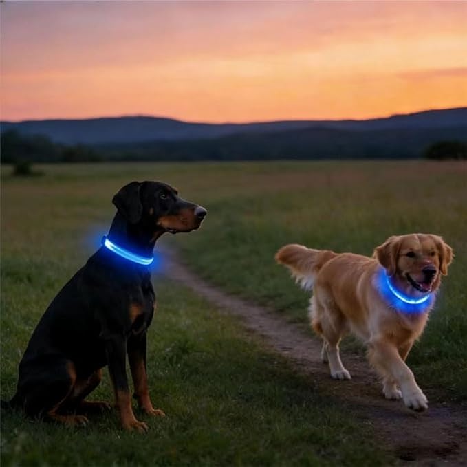2-Pack Flash LED Pet Safety Collar Light Band - Blue