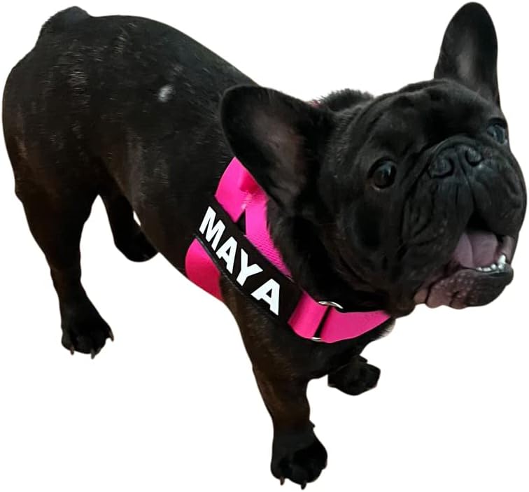 BULLHUG Adjustable Dog Harness– No Pull, No Choke – for English Bulldogs, French Bulldogs, Pugs & Broad-Chested Breeds – Easy, Safe Walks (NEON Pink, Medium)