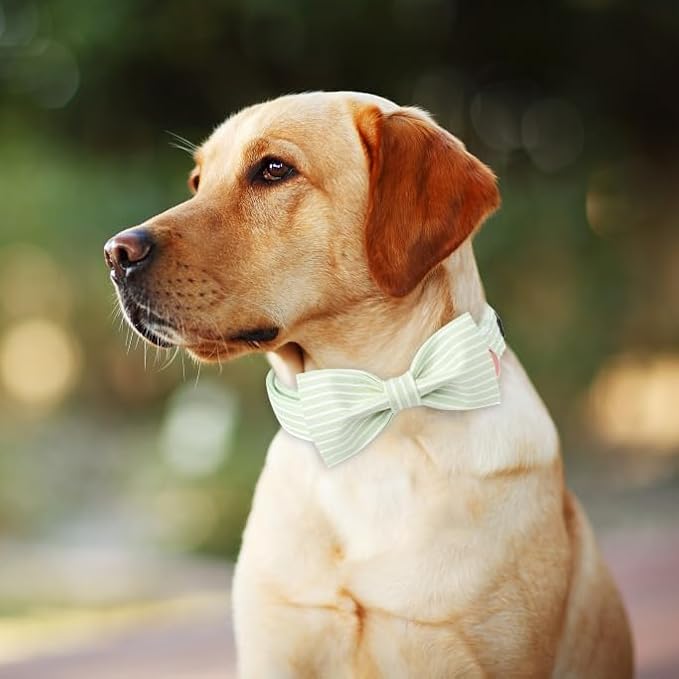 ARING PET Dog Collars with Bow, Green Stripe Adjustable Bowtie Pet Collar with Metal Buckle for Small Medium Large Boy Girl Dogs-M