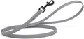 Dogline Biothane Waterproof Dog Leash Strong Coated Nylon Webbing with Black Hardware Odor-Proof Easy to Clean High Performance for Small or Large Dogs Made in USA 4 or 6 ft Lead, Battleship Gray