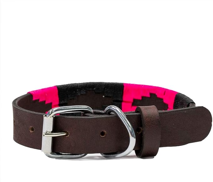 Gaucho Goods Leather Dog Collar - Antilles (S)